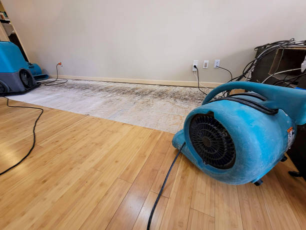 Professional Water Removal technician working in Monroe, NH